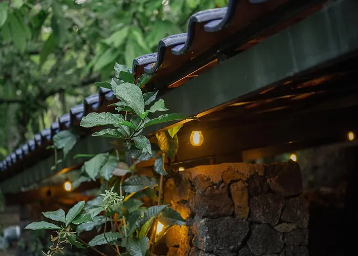 Kawa